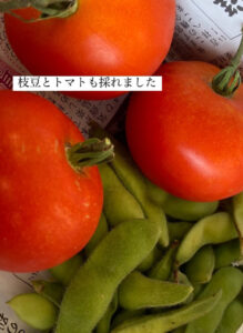 枝豆とトマト